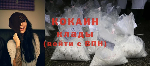 прущий лед Дмитриев