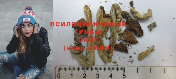 прущий лед Дмитриев