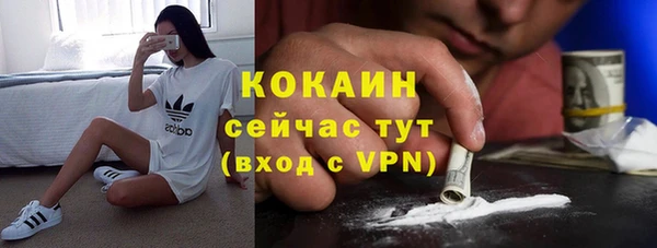 соль ск Дмитров