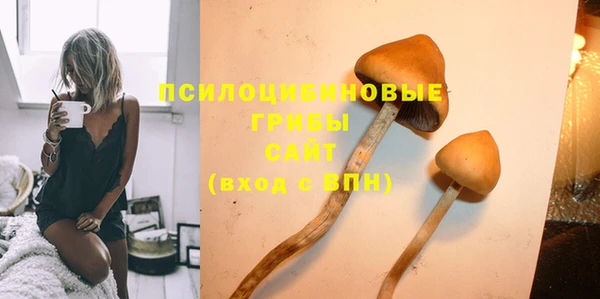 прущий лед Дмитриев