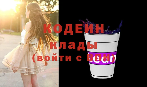 прущий лед Дмитриев