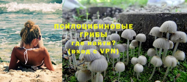 соль ск Дмитров