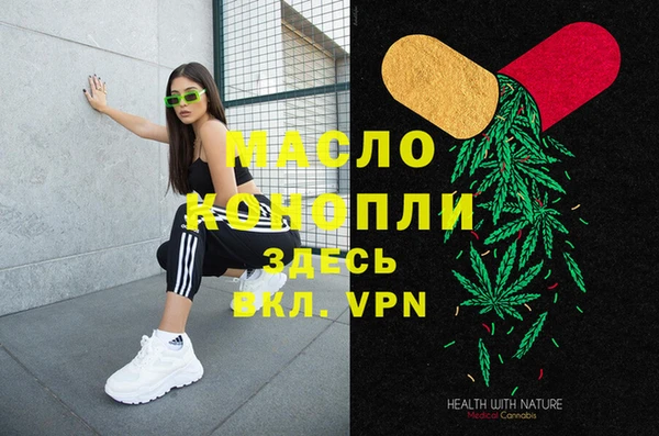 прущий лед Дмитриев