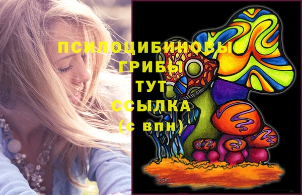соль ск Дмитров