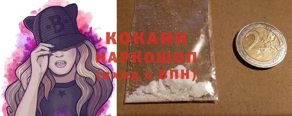 прущий лед Дмитриев